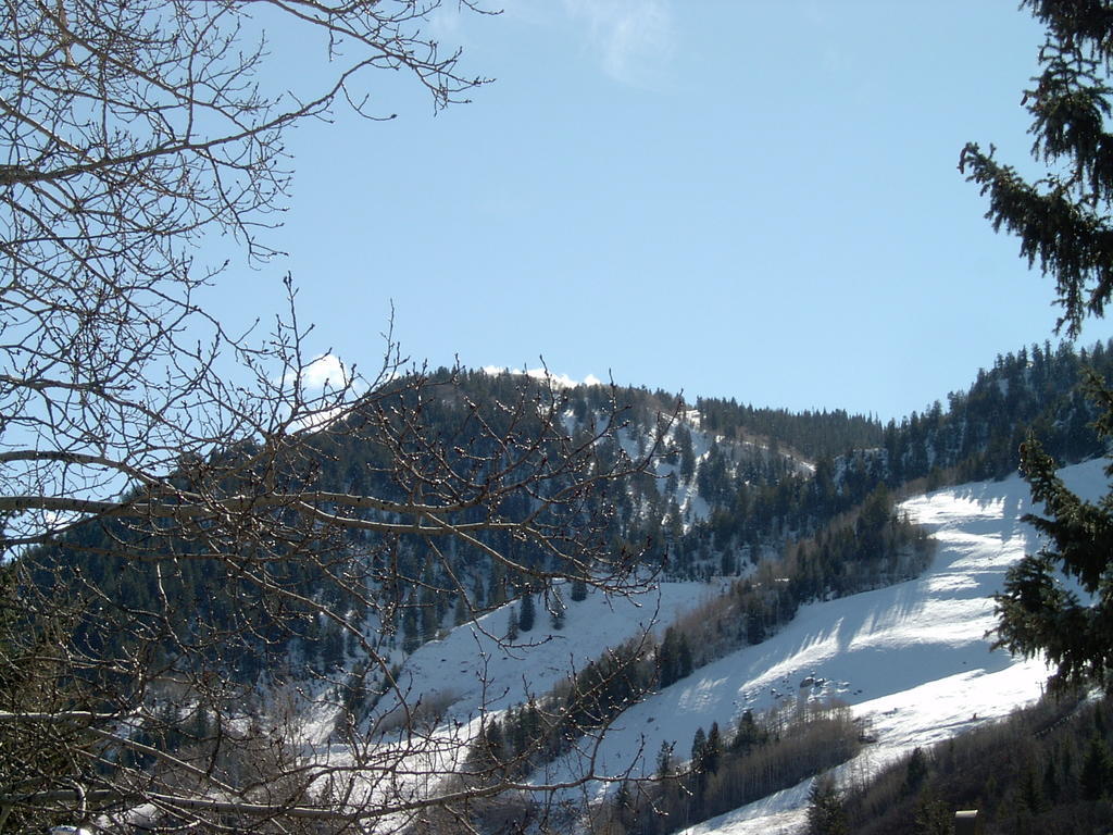 St Moritz And Lodge